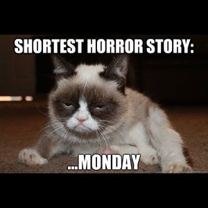 Meet your Posher, Brandy